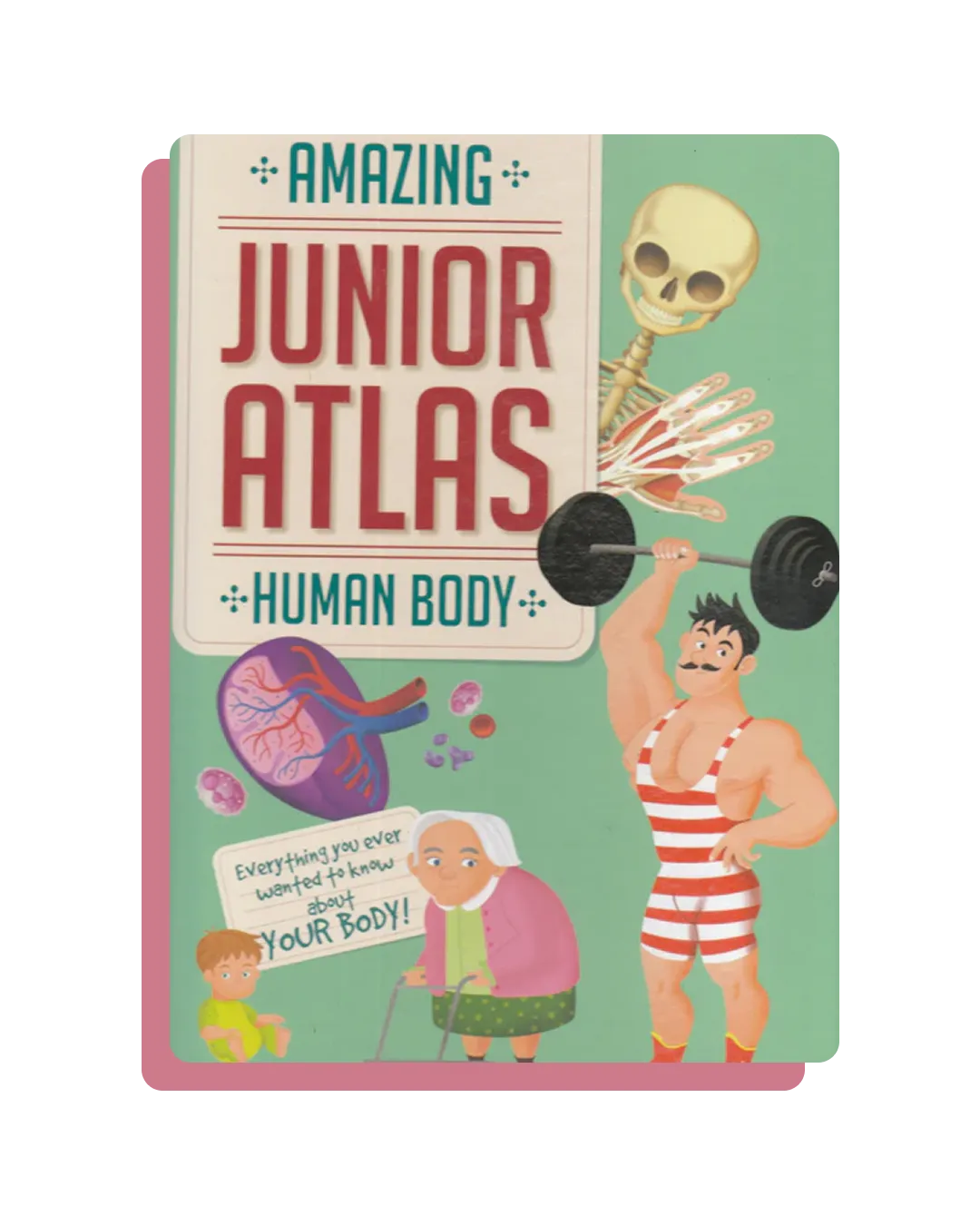 Amazing Junior Atlas Human Body