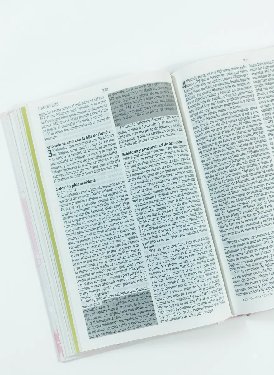 Biblia de Promesas para Niñas (RV1960)